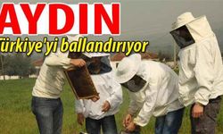 Aydın, Türkiye'yi ballandırıyor