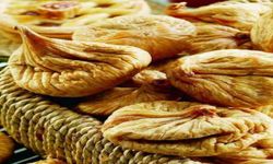 Meyve kurutmada jeotermal kolaylığı
