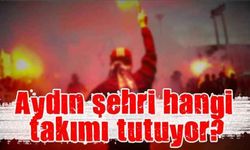Aydın şehri hangi takımı tutuyor?