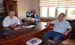 Romanov koyunu Aydın’dan Türkiye’ye yayılıyor