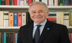 İYİ Parti'li Sezgin, pamuk üreticisinin sesi oldu