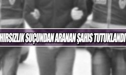Hırsızlık suçundan aranan şahıs tutuklandı