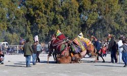 Develer, Didim Belediyespor yararına güreşti