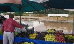 Didim'de yağmur, hayatı olumsuz etkiledi