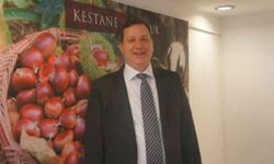 Aydın'a kestaneden 100 milyon liralık katkı
