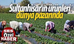 Sultanhisar'ın ürünleri dünya pazarında