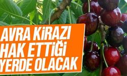 "Avra kirazı hak ettiği yerde olacak"
