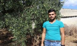 Zeytin üreticileri isyanda