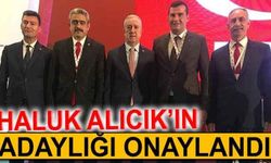 Haluk Alıcık’ın adaylığı onaylandı