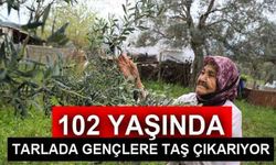 102 yaşında tarlada gençlere taş çıkarıyor