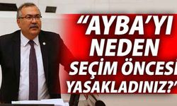 “AYBA’yı neden seçim öncesi yasakladınız?”
