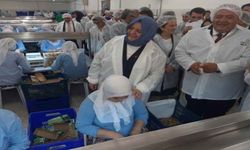 Bakan Selçuk'u Köşklüler bağrına bastı