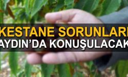 Kestane sorunları Aydın’da konuşulacak
