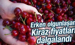 Erken olgunlaşan Kiraz fiyatları dalgalandı