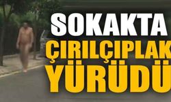 Sokakta çırılçıplak yürüdü