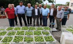Kaymakam Kurt, ilek hakkında bilgi aldı