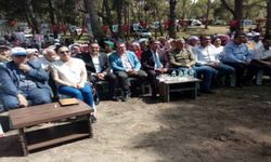 Koçarlı Çam Fıstığı Festivali başladı