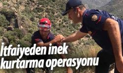 İtfaiyeden inek kurtarma operasyonu