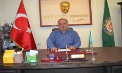 Zeytin rekoltesinde düşüş bekleniyor