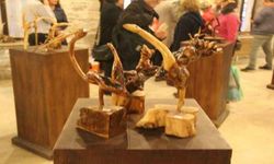 Ağaç köklerini, sanat eserine dönüştürüyor
