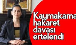 Kaymakama hakaret davası ertelendi