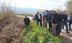 Tuna, seçilmeden yaralara merhem oluyor