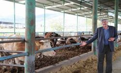 Aydın Büyükşehir, Ege Et'le üreticiyi destekliyor
