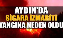 Aydın'da sigara izmariti yangına neden oldu