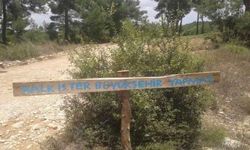 Vatandaş sloganı buldu