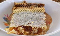 Karacasu'da arıcılık kooperatifle büyüyecek