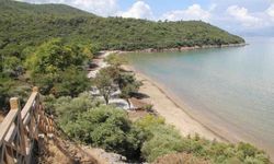 Milli Park'ın korunması için harekete geçtiler