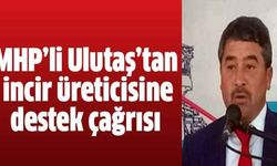 MHP’li Ulutaş’tan incir üreticisine destek çağrısı