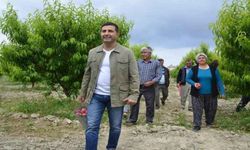 Günel, şeftali üreticilerinin yanında