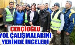 Çerçioğlu, yol çalışmalarını yerinde inceledi