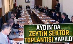 Aydın’da zeytin sektör toplantısı yapıldı