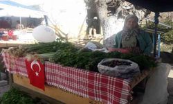 Şifalı bitkiler, Kavaklı Köy Pazarı'nda