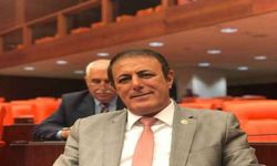 'Demokrasi için canımızı vermemiz gerekiyorsa hazırız'