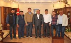 Çine Deve Güreşi ‘Tuncer’ anısına düzenlenecek