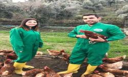 Devlet desteğiyle tavuk çiftliği kurdular