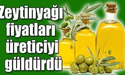 Zeytinyağı fiyatları üreticiyi güldürdü