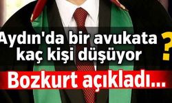 Aydın'da bir avukata kaç kişi düşüyor?