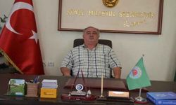 Kestanede yüzde 25 rekolte artışı var