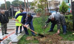 Alıcık'tan fidanlı destek