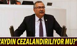 “Aydın cezalandırılıyor mu?”