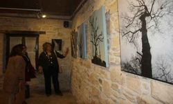 Kuşadası'nda 'Ağaç Kadınlar' sergisi