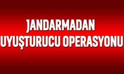 Jandarmadan uyuşturucu operasyonu