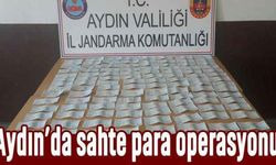 Aydın’da sahte para operasyonu