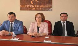 Ülkücüler yuvalarına döndü