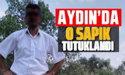 Sapık tutuklandı