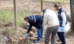 Ceset gömüldüğü ihbar edilen mezardan köpek kemikleri çıktı